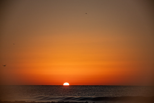 Myrtle Beach Travel Park Moon setting Sunrise Foggy Lens 20230206_0239