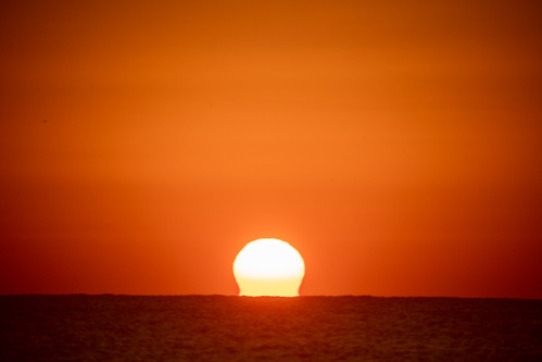 Myrtle Beach Travel Park Moon setting Sunrise Foggy Lens 20230206_0289