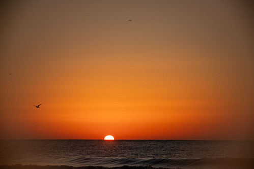 Myrtle Beach Travel Park Moon setting Sunrise Foggy Lens 20230206_0237