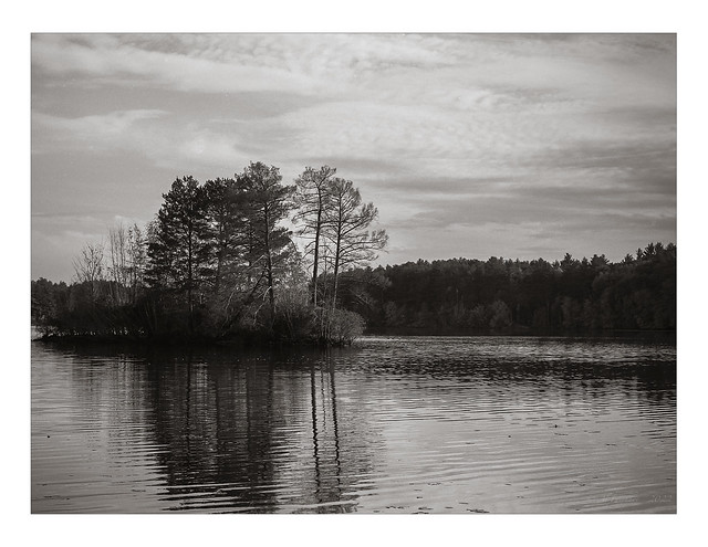Lake, film