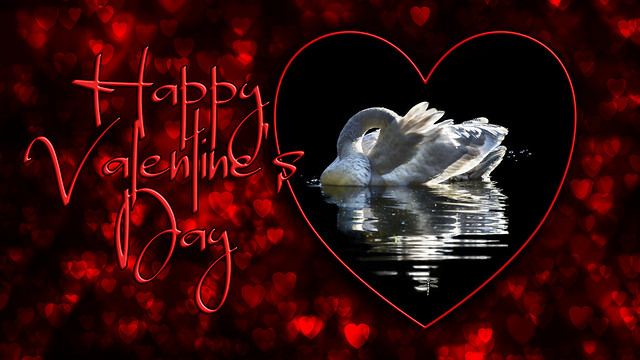 Happy Valentine's Day . . .