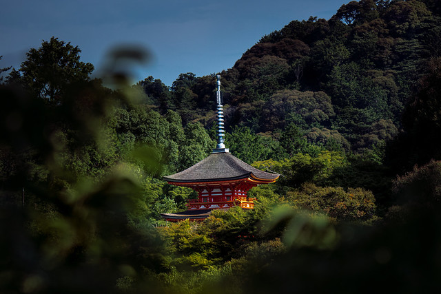 Pagoda in the forest