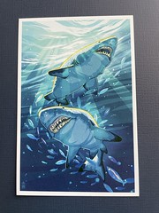 Lantern Press - Tiger Sharks - #54889