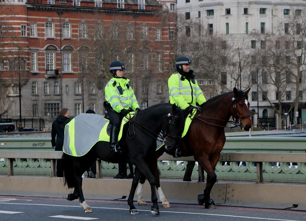 Metropolitan Police Service Mounted