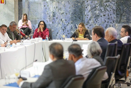 Celina Leão e bancada federal tratam de saúde e segurança do DF