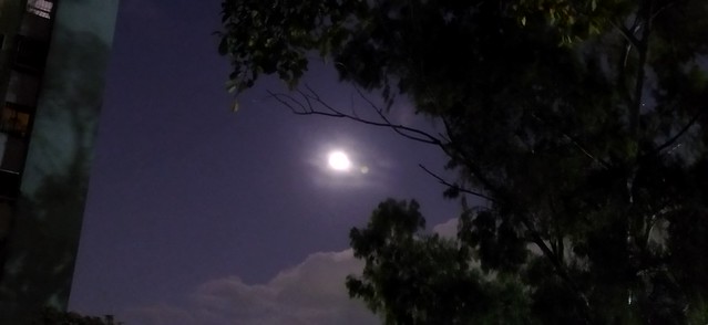Noche de Luna y Frio.