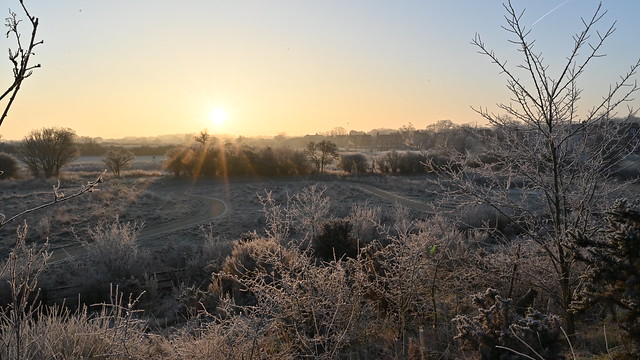 Early Morning Frost and Sun at Wokingham Outskirts - Wednesday 8th February 2023 at 08:01