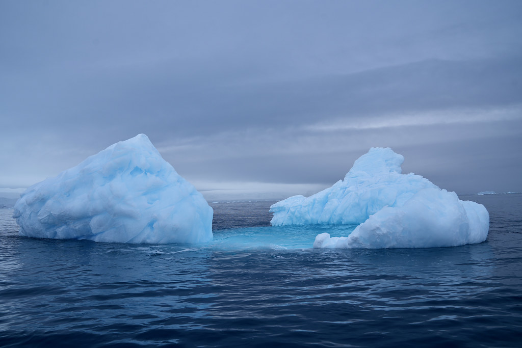 'Dry dock' iceberg, Lindblad Cove, Antarctica | SEL2470GM | Joe Lewit ...