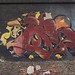 Chicago Graffiti / Street art 2023