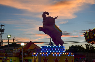 Elephant At Sunset