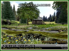 TMG - Quiet Forest Glade