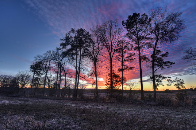 South Carolina Sunset