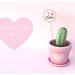 Cactus in love - Group gift