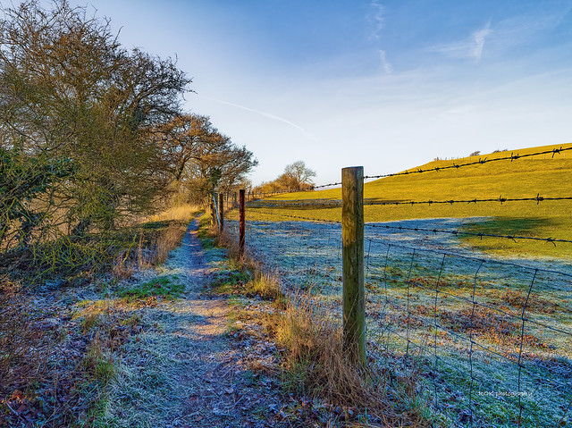 From frost into sunshine on the footpath