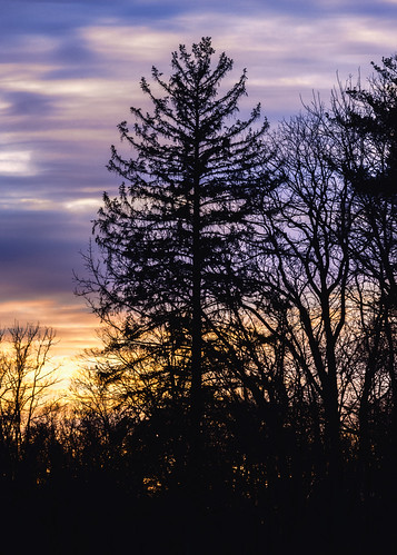 Letort Winter Sunset by Jay_Himes, sunset tree silhouette blue pine winter outdoors nature clouds pennsylvania
