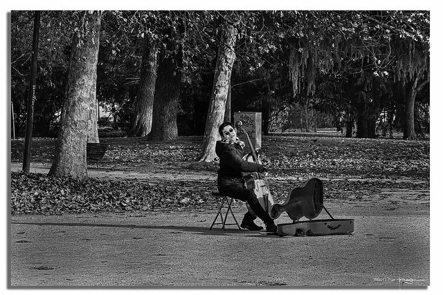 Milano, music in the park B&W