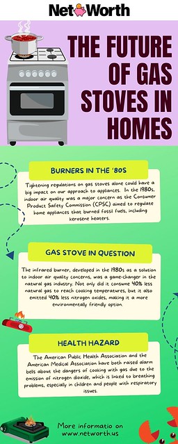 The Future of Gas Stoves in Homes - 43