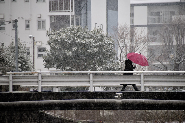 Red umbrella on a snowy day