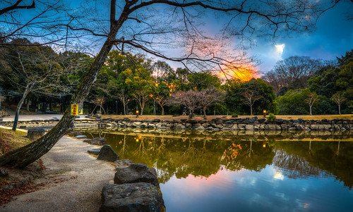 japan nara jp asia pond water reflect reflection sunset sky tree winter 28300mm nikon d800 evening sundown nature vacation travel night clouds blue nicesky nikkor hdr