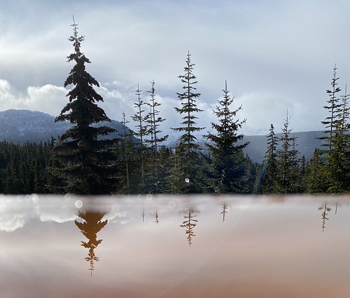 Reflection shot | by ngnther