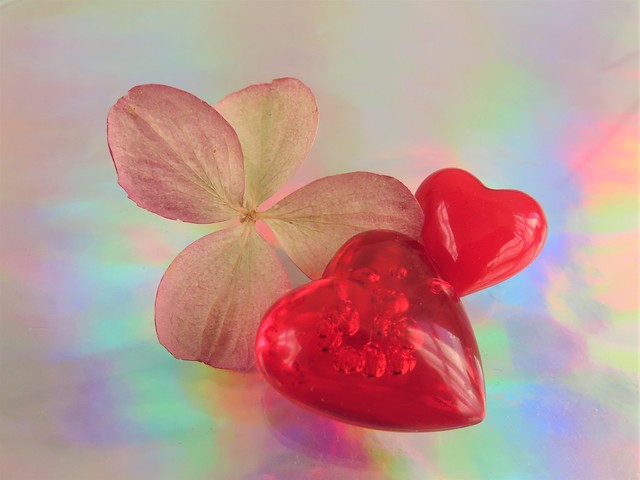 💕 Red Hearts & Hydrangea 💕