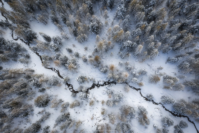 A Winter's Tale From Above