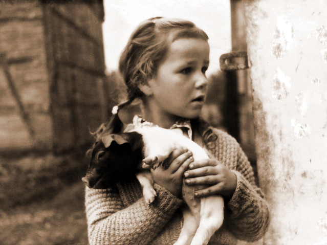 A young girl embraces a piglet on a farm in Germany circa 1950's