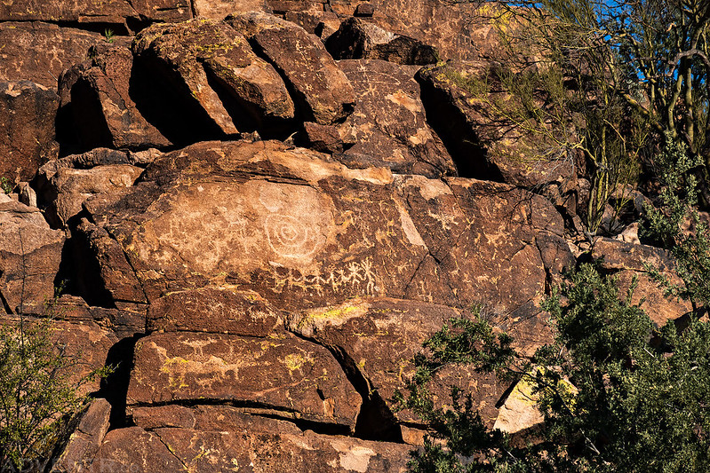 Picture Rocks Petroglyphs II