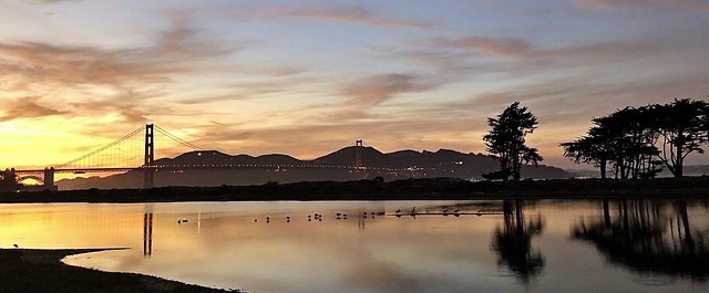 dusk, waterbirds, presidio tidal lagoon, golden gate bridge, marin hills, sf ca us