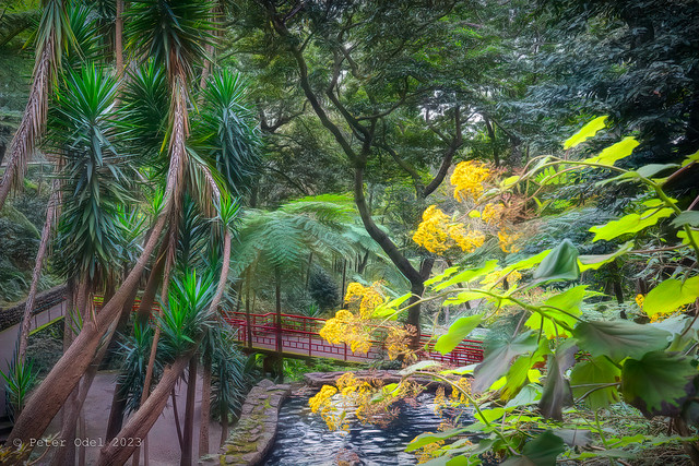 Botanical Garden, Funchal