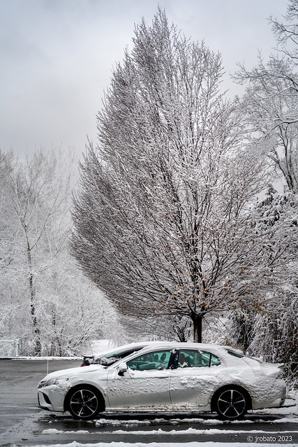 Parked Car In Winter