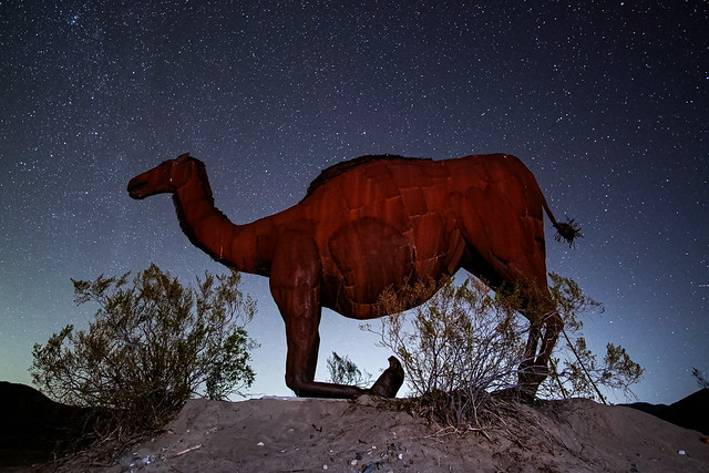 Camel sculpture by Borrego Springs, CA