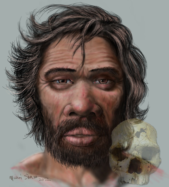proto-Neanderthal