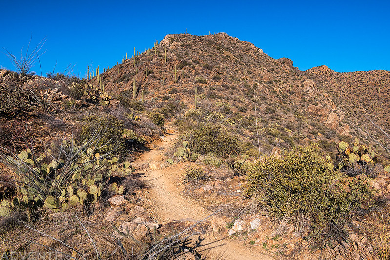 King Canyon Trail II