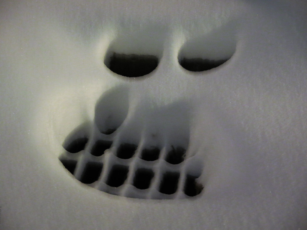 when smile-detection goes awry - January 2014