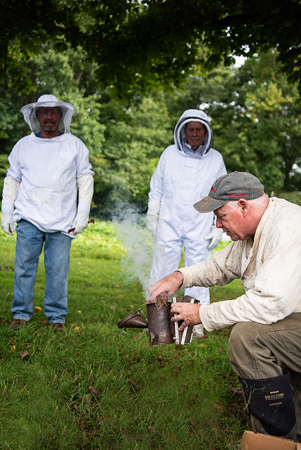 Beekeeping with Virginia Webb