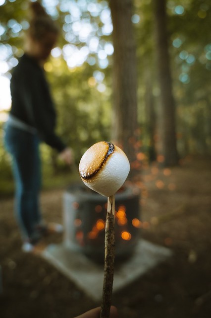 Smores in the Wild