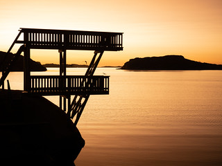 Flickr photo: Golden