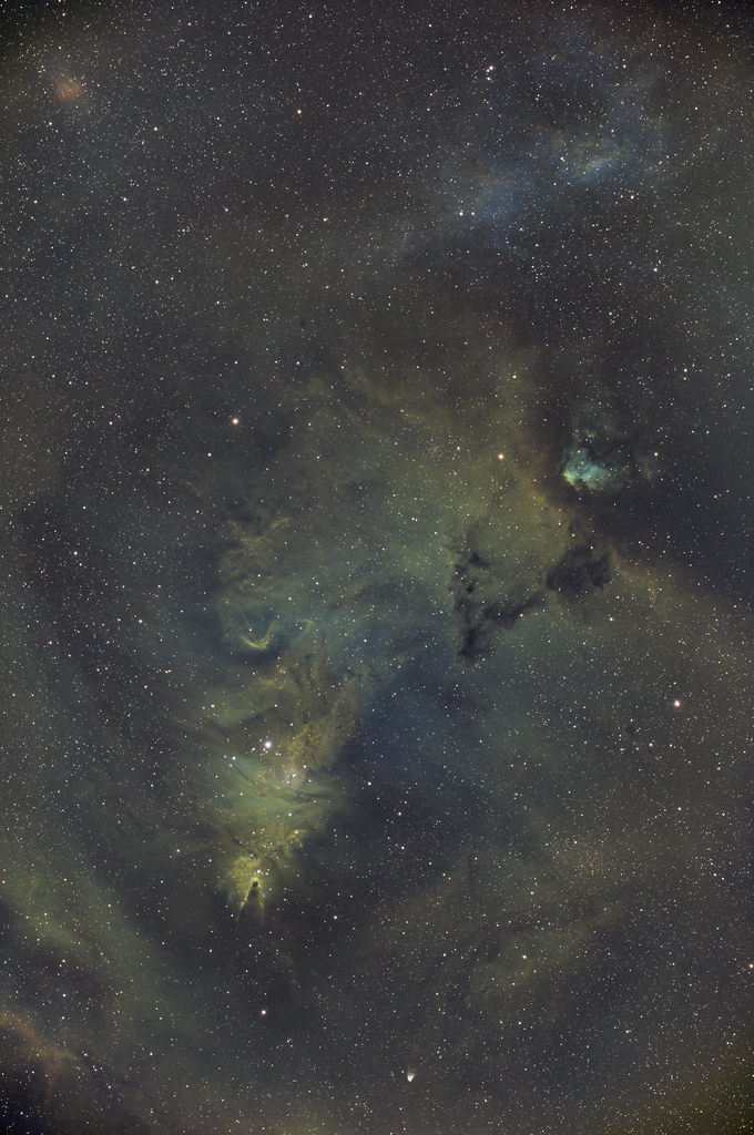 NGC 2264 - Cone nebula and surroundings