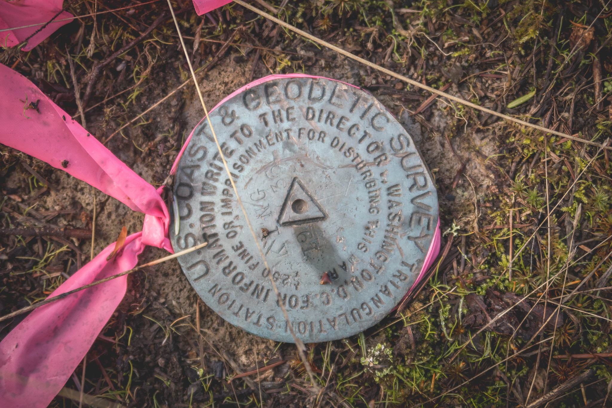 USGS marker on King Benchmark