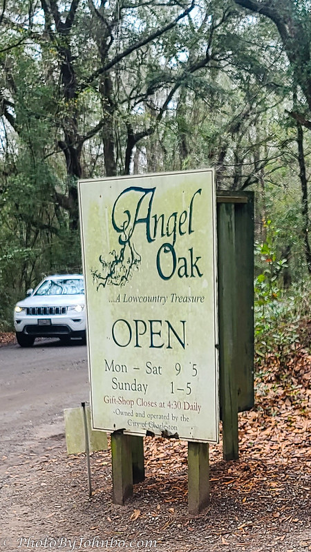 Angel Oak-1