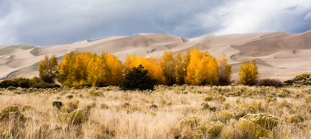 Autumn in the Great Sand Dunes