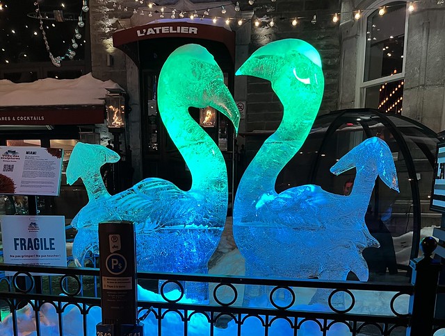 Beautiful ice sculptures everywhere in the city!