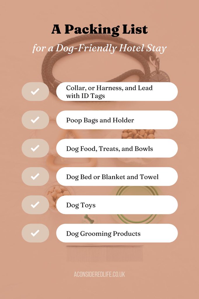 A Packing List for a Dog-Friendly Hotel Stay