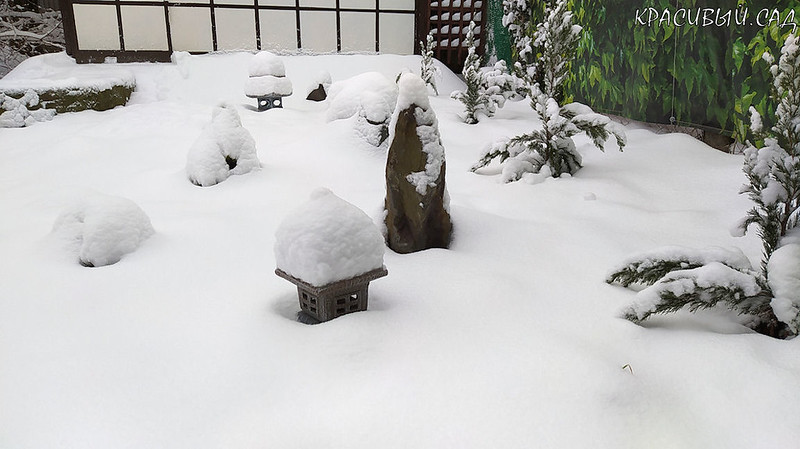 Японский сад под снегом