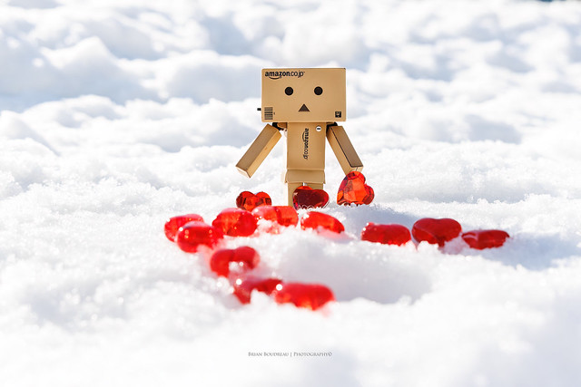 Danbo Says Happy Valentines from Canada