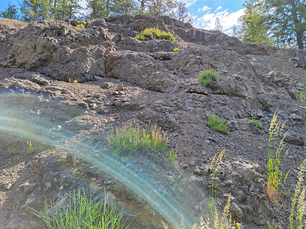 Mother Lode Mine Trail #808A