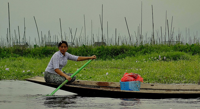 MYANMAR, Burma - rund um den Inle-See, die schwimmenden Gärten, 21396