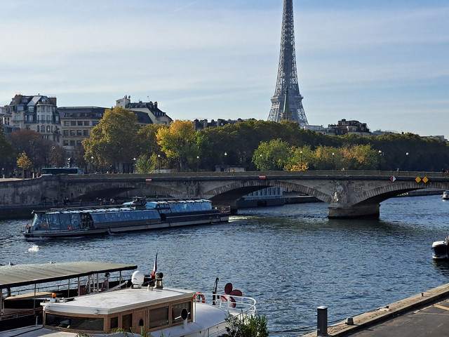 2022.11.12.099 PARIS - La Seine et le pont des Invalides