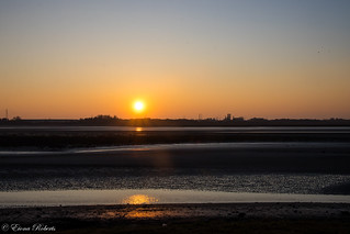 Estuary Sunset